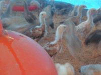 /album/galeria-de-fotos-fotos/sam-3686-jpg/